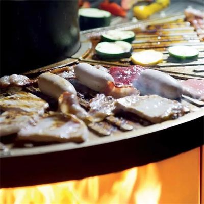 Europees Koudgewalst Staal Opgeschort Open haard Houten Brandend Fornuis met Ringvormig Glas
