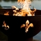 Houten Brandende het Staalbrand Pit Bowl For Outdoor Camping van Hemisfeercorten