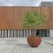 Geometrische Gebieden Doorstane Corten-de Plantersbol van de Staalboom voor Streetscape