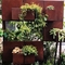 De pre Doorstane Corten-Potten van Art Rustic Wall Hanging Flower van de Staalmuur